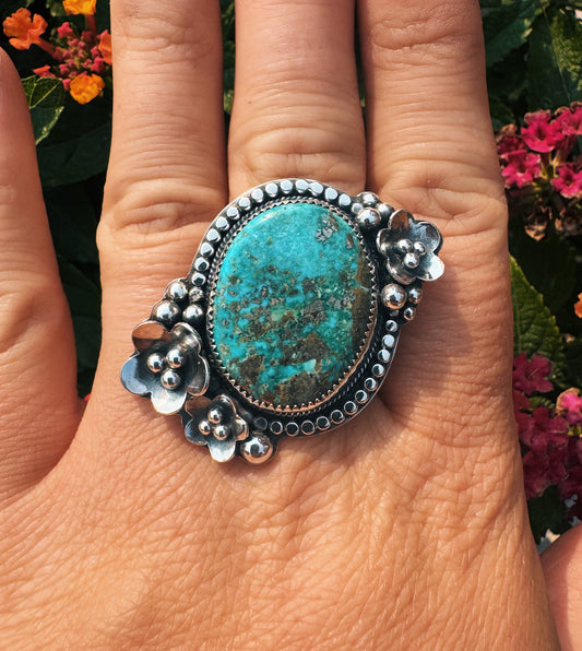 The Clearwater Ring