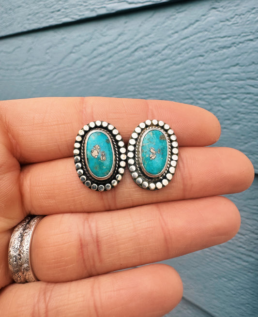 Sonoran Studs